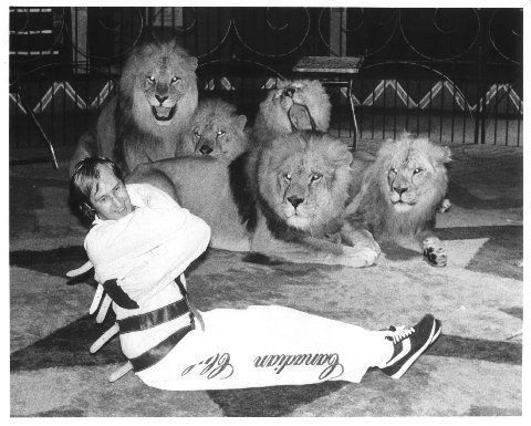 Escapologist Karl Bartoni begining a strait-jacket escape in a cage with five African lions in 1983 at the Hippodrome Circus, Great Yarmouth.